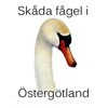 Skåda fågel i Östergötland