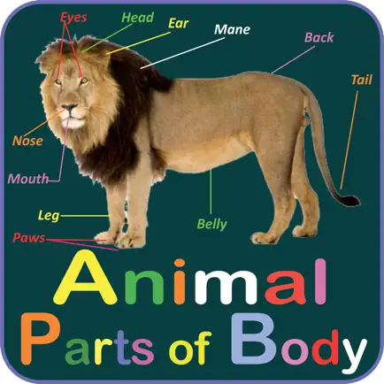 Animal Parts of Body Names Cheats