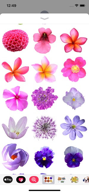 100+ Flower Stickers(圖3)-速報App