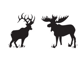 Enjoy your everyday life, make your conversations more exciting and bold with Animals silhouettes