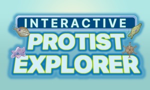 Interactive Protist Explorer