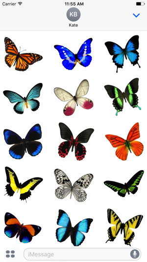 Real Butterfly Stickers(圖1)-速報App