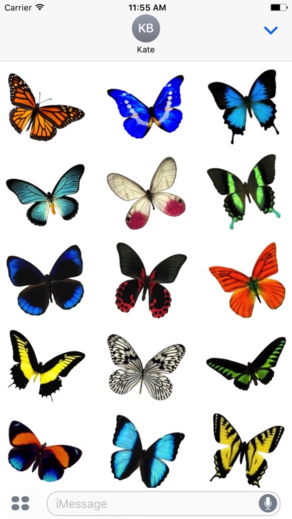 Real Butterfly Stickers