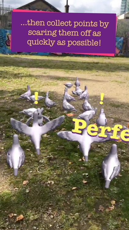 Pigeon Panic! AR screenshot-3