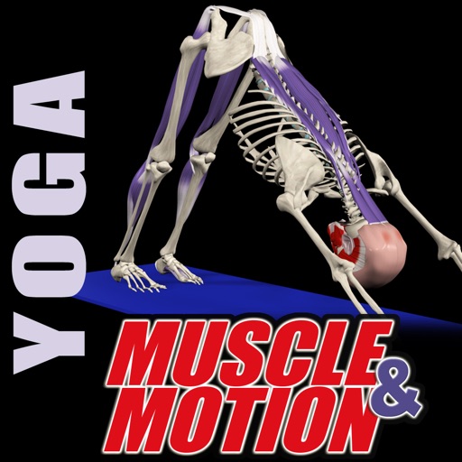 Muscle and Motion Yoga