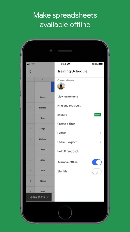 Google Sheets screenshot-3