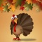 Thanksgiving App
