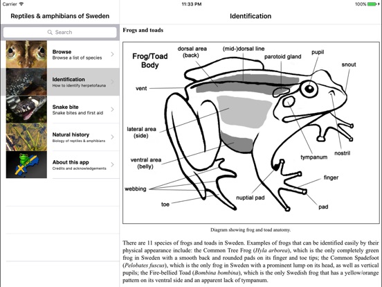 【图】Reptiles and Amphibians of Sweden(截图3) 【图】Reptiles and Amphibians of Sweden(截图3)