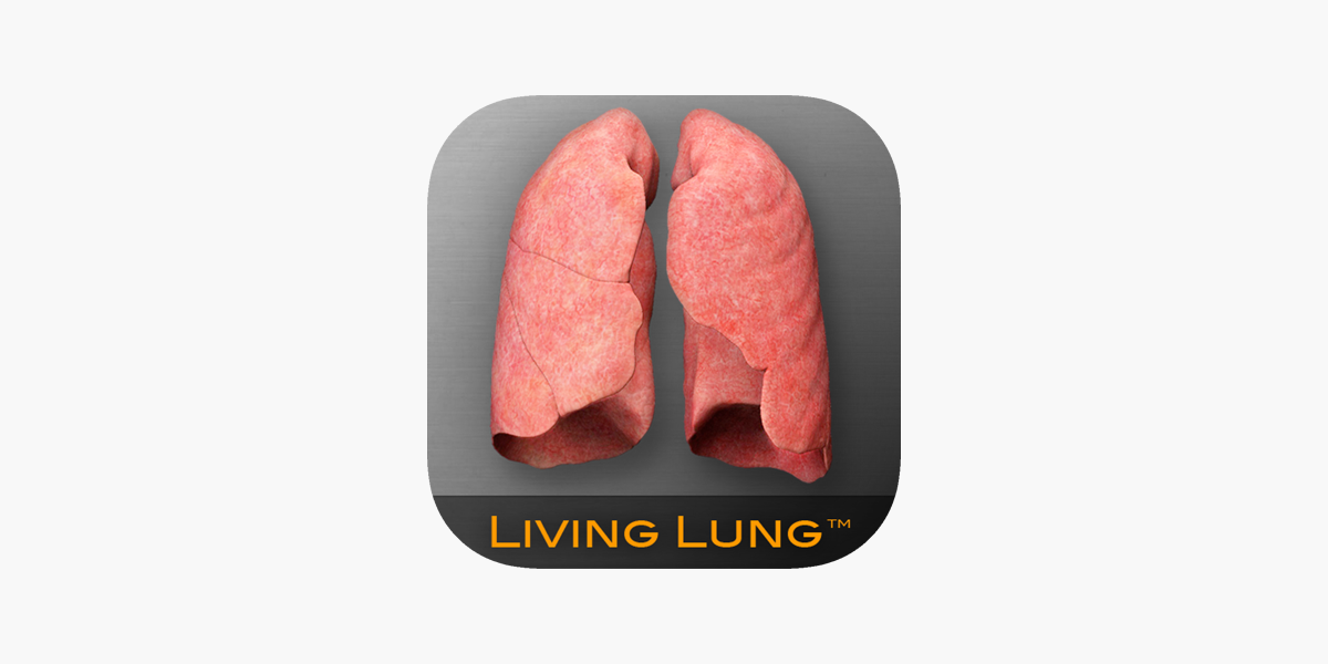 healthy human lung