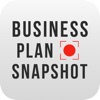 Business Plan Snapshot