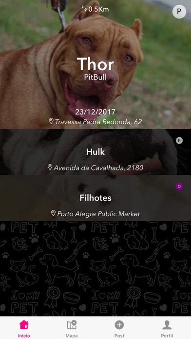 PetClub App screenshot 2