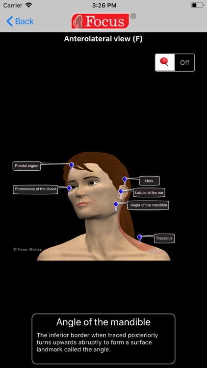 Head and Neck screenshot-3