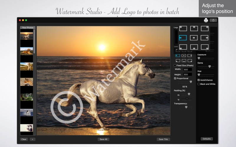 Watermark Studio - Add Logo to photos in batch thumbnail 3