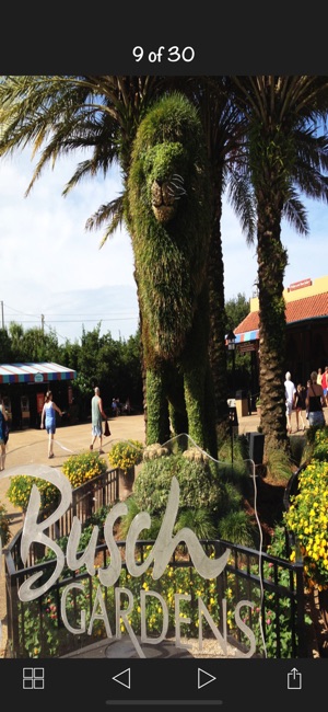 App to Busch Gardens Tampa Bay(圖4)-速報App