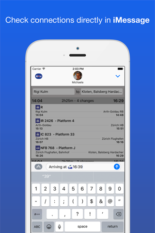 Swiss Public Transport - náhled