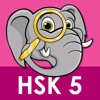 Daxiang HSK5