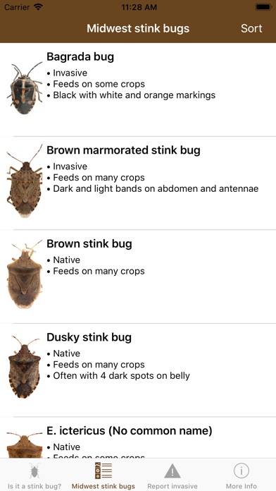 Midwest Stink Bug screenshot 2
