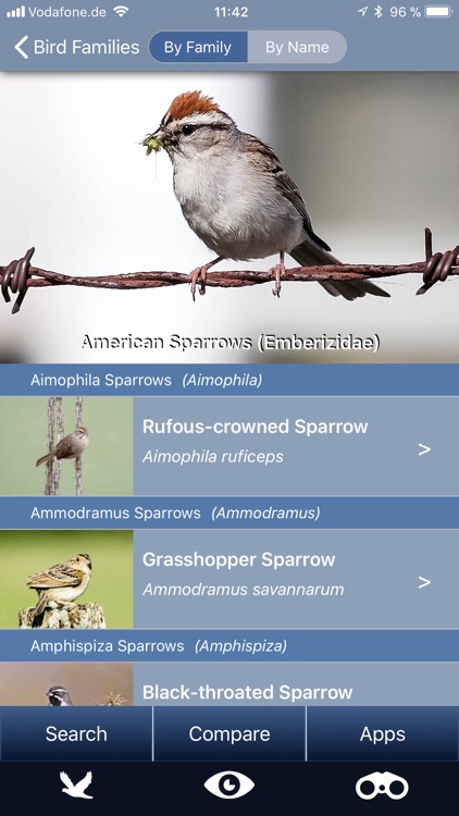 Bird Id USA backyard birds screenshot-4