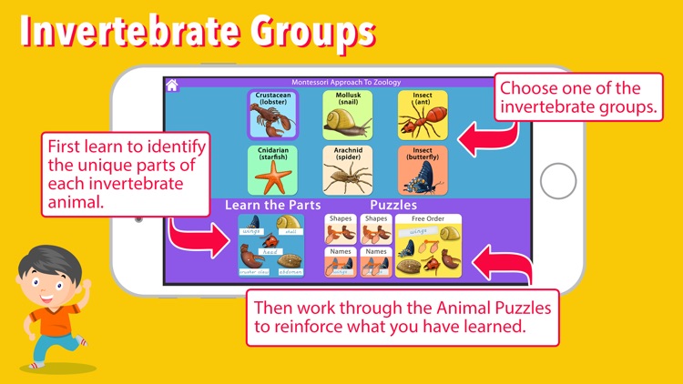 Parts of Invertebrate Animals