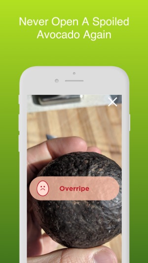 Ripe Avocado(圖3)-速報App