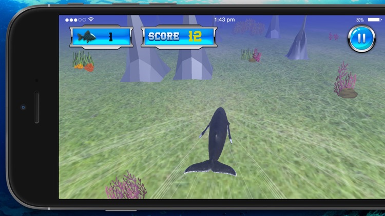 Blue Whale Simulator