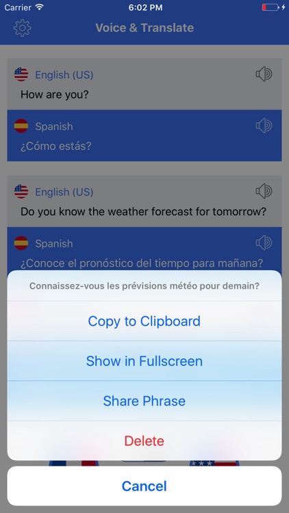 Speak Translate & Voice and Text Translator screenshot-3
