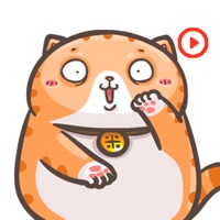 Chubby Cat Stickers Animated apk