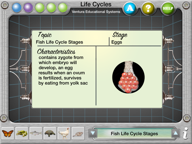 Interactive Life Cycles(圖3)-速報App