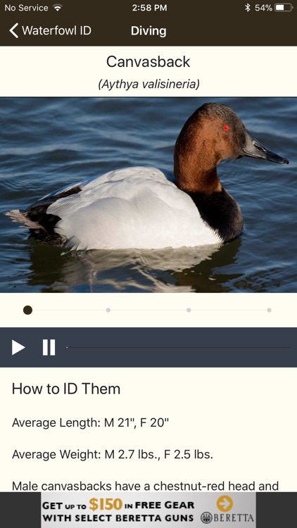 Ducks Unlimited screenshot-4