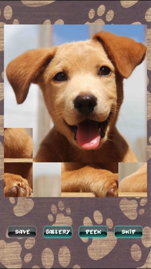 Cute Puppies Puzzle