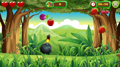 Fruit Slasher offline Screenshot 4