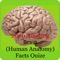 Human Brain Facts & Quiz 2000