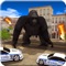 "Ready to rampage through the city with gorilla hunter