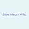 Download the Blue Moon Wild App today to schedule classes, buy packages, and scope out workshops