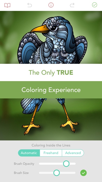 Pigment - Coloring Book for Adults screenshot-3