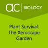 Plant Survival