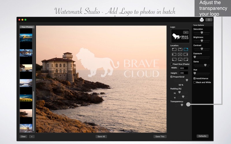 Watermark Studio - Add Logo to photos in batch thumbnail 4