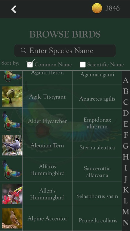 Kea: Create Birding Quiz Games screenshot-4