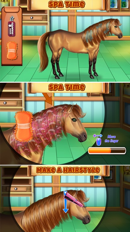 Horse Hair Salon