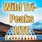 Wild Tri-Peaks brings you classic Tri-Peak solitaire and much more
