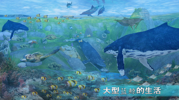 蓝鲸生存挑战模拟器游戏: 愤怒的鲨鱼攻击进化 screenshot 4