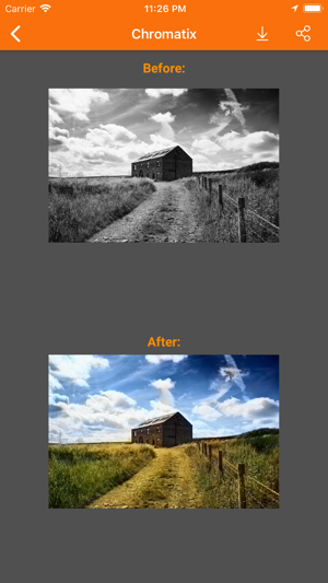 Chromatix B&W Photo Colorizer(圖2)-速報App