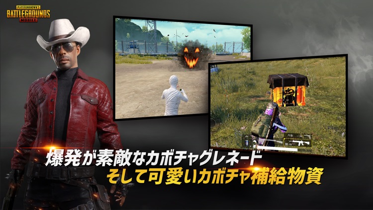 PUBG MOBILE screenshot-3