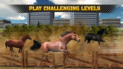Wild Horse Racing Champions screenshot 3