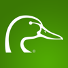no app image