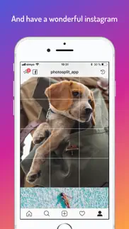 photosplit hd for instagram problems & solutions and troubleshooting guide - 4