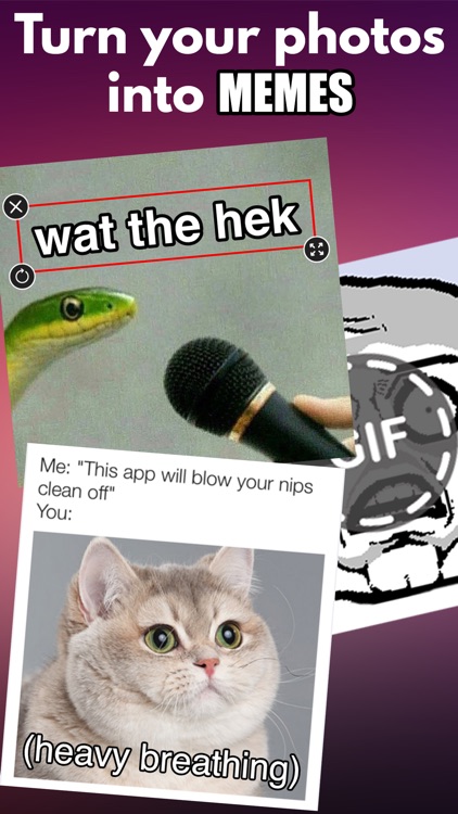 Pictophile: Memes & Meme Maker screenshot-5