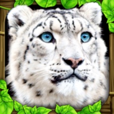 Activities of Snow Leopard Simulator