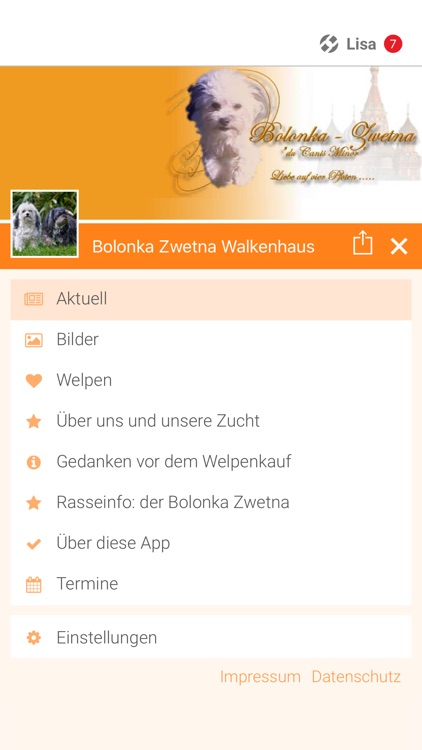 Bolonka Zwetna Walkenhaus