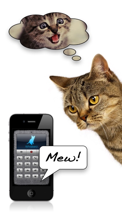 Human-to-Cat Translator Deluxe